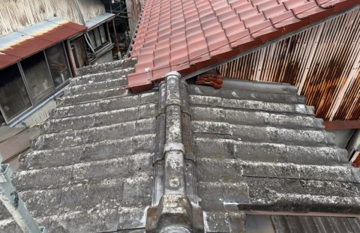 00ecb7f0df0f1f75253326305f19f8e50f-e1732417183440