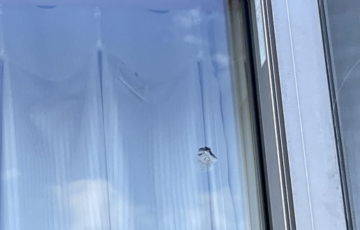 【長久手市】　ペアガラス交換　T様邸　サムネイル