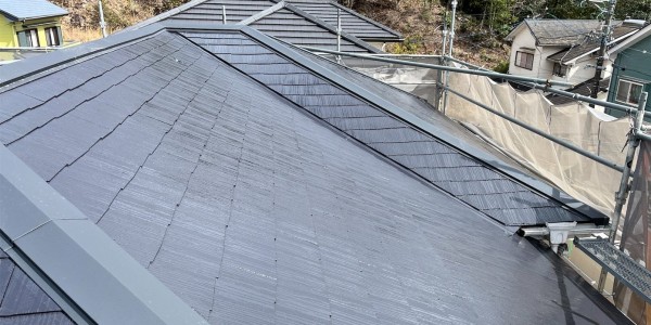 【豊田市】屋根塗装・棟板金工事　訪問業者の指摘に不安を感じたら、まずはご相談を！サムネイル