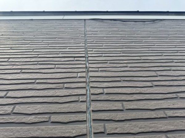 【名古屋市】外壁塗装, 築13年のシーリング補修とコケサムネイル