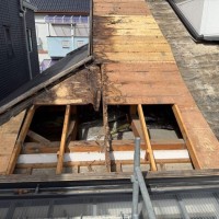 2025_09_23_20_32_44_157_12