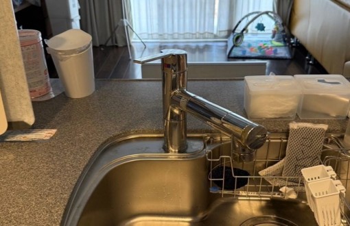 LINE_ALBUM_豐田市　片桐様邸　完了報告_250217_5