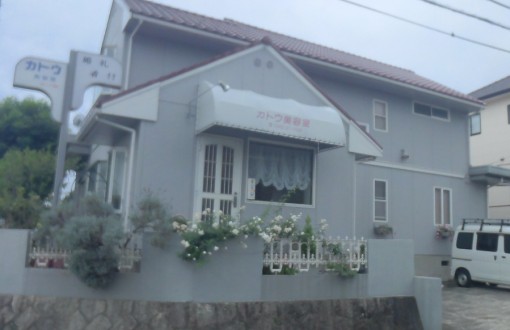 外壁塗装　施工前　サイディング