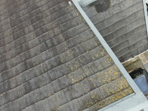 【名古屋市】外壁塗装前の建物調査｜築17年・初めての塗り替えで分かった劣化症状とはサムネイル