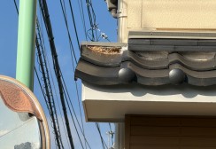 【名古屋市守山区】で外壁塗装をお考えのお宅様の現地調査｜リシン吹き・タイル調外壁と瓦屋根の点検サムネイル